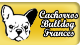 Criadero de bulldog frances